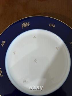 10 Rosenthal China COBALT BLUE Dinner Plate 10,1/4