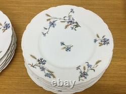 11 Antique H & Co. LIMOGES France 8 1/2 Blue Floral Luncheon Plates