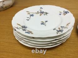 11 Antique H & Co. LIMOGES France 8 1/2 Blue Floral Luncheon Plates