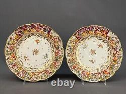 12 Antique 19th Century Capodimonte Painted Floral 9 7/8 Dinner Plates Mint