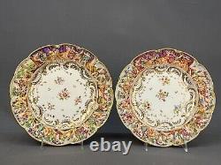 12 Antique 19th Century Capodimonte Painted Floral 9 7/8 Dinner Plates Mint