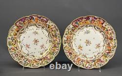 12 Antique 19th Century Capodimonte Painted Floral 9 7/8 Dinner Plates Mint