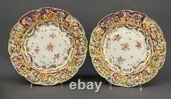 12 Antique 19th Century Capodimonte Painted Floral 9 7/8 Dinner Plates Mint