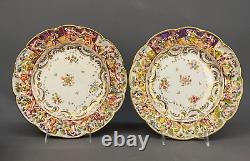 12 Antique 19th Century Capodimonte Painted Floral 9 7/8 Dinner Plates Mint