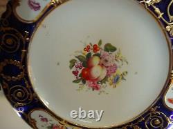 12 Circa 1840s English Coalport Cobalt Blue Hand Painted by Stephen Lawrence