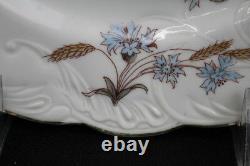 1920's Set of 10 Carlsbad Blue Flowers withWheat 9 3/4 Dinner Plates CAR189