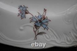 1920's Set of 10 Carlsbad Blue Flowers withWheat 9 3/4 Dinner Plates CAR189