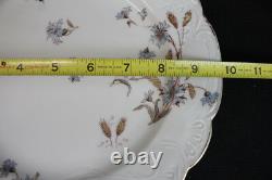 1920's Set of 10 Carlsbad Blue Flowers withWheat 9 3/4 Dinner Plates CAR189