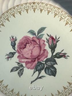 1930s Set Of 6 Morning Rose Dinner Plate by BurleighWare (Burgess & Leigh)