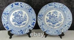 (2) Antique Staffordshire Blue Transferware Peonies Mosaic 10 1/8 Dinner Plates