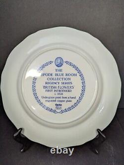 5 Different Spode Blue Room Regency Collection 10 Dinner Plates Original box