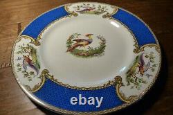 5 VTG MYOTT Staffordshire CHELSEA BIRD BLUE Dinner Plates Signed Raised Paint