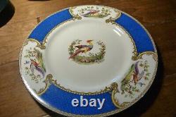 5 VTG MYOTT Staffordshire CHELSEA BIRD BLUE Dinner Plates Signed Raised Paint