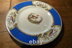 5 VTG MYOTT Staffordshire CHELSEA BIRD BLUE Dinner Plates Signed Raised Paint