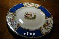 5 VTG MYOTT Staffordshire CHELSEA BIRD BLUE Dinner Plates Signed Raised Paint