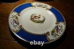 5 VTG MYOTT Staffordshire CHELSEA BIRD BLUE Dinner Plates Signed Raised Paint