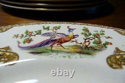 5 VTG MYOTT Staffordshire CHELSEA BIRD BLUE Dinner Plates Signed Raised Paint