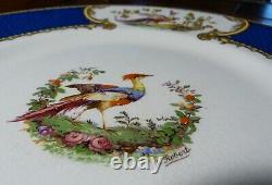 5 VTG MYOTT Staffordshire CHELSEA BIRD BLUE Dinner Plates Signed Raised Paint