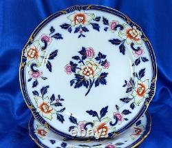 6 Antique Flow Blue Polychrome 10 Colorful Floral Dinner Plates Cauldon Exc