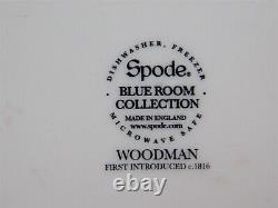 6 BEAUTIFUL SPODE BLUE ROOM COLLECTION 10.5 DINNER PLATES Mixed Patterns