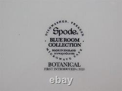 6 BEAUTIFUL SPODE BLUE ROOM COLLECTION 10.5 DINNER PLATES Mixed Patterns