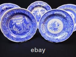 6 SPODE BLUE ROOM 10.5 Dinner Plate England Woodman Rome Floral Botanical