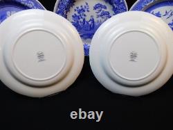 6 SPODE BLUE ROOM 10.5 Dinner Plate England Woodman Rome Floral Botanical