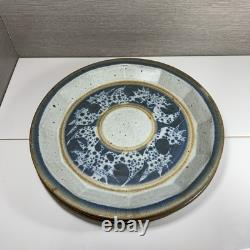 (6) Vintage Chamberlain 10.5 Pottery Stoneware Plates Blue Signed