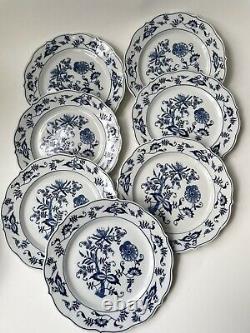 7 Blue Danube Onion Salade PLATES 9