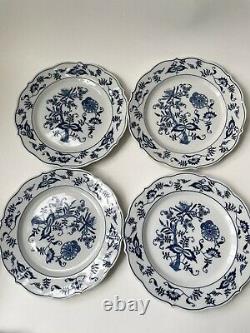 7 Blue Danube Onion Salade PLATES 9