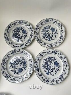 7 Blue Danube Onion Salade PLATES 9