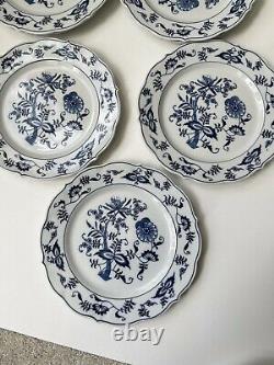 7 Blue Danube Onion Salade PLATES 9