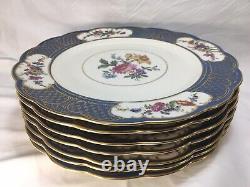 (8) Royal Bayreuth Bavaria Blue & Floral 11 Inch DINNER/CABINET PLATES Mint