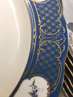 (8) Royal Bayreuth Bavaria Blue & Floral 11 Inch DINNER/CABINET PLATES Mint