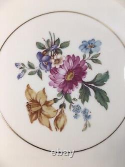 (8) Royal Bayreuth Bavaria Blue & Floral 11 Inch DINNER/CABINET PLATES Mint