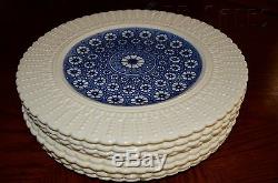 Antique 1800s Set 8 Coalport Dinner Plates Kings Ware Cobalt Blue & Ivory Floral