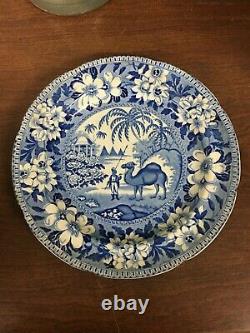 Antique 9 Blue & White Transfer Ware Plate Dromedary Pattern Pountney & Goldney