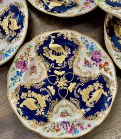 Antique Booths Dinner Plates Set of 12 Birds Butterflies Cobalt Blue & Gold RARE