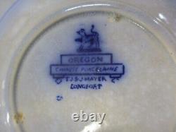 Antique Flow Blue Plate / Bowl Lot. TJ & J Oregon, B&L, Amoy Etc