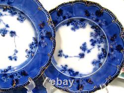 Antique Ridgway set of 8 Lugano Flow Blue 9 inch salad plates plate