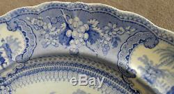 Antique Staffordshire Blue Transferware Dinner Plate Belzoni Hunting Ostriches