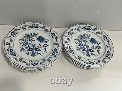 Blue Danube Porcelain Blue Onion Set of 11 Dinner Plates