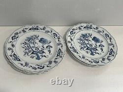 Blue Danube Porcelain Blue Onion Set of 11 Dinner Plates