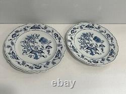 Blue Danube Porcelain Blue Onion Set of 11 Dinner Plates