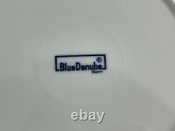 Blue Danube Porcelain Blue Onion Set of 11 Dinner Plates