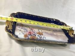 C1887 H&Co DEPOSE Haviland France 17 Cobalt/Gold SCENIC FLORAL & SKY PLATTER