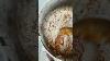 Carnivore Snack Ham Sausage And Boiled Eggs Nov 18 2024 4