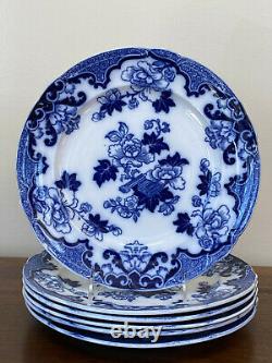 Cauldon CANDIA Flow Blue Dinner Plates Set of 6