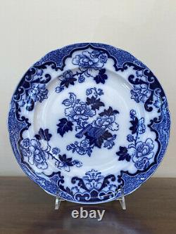 Cauldon CANDIA Flow Blue Dinner Plates Set of 6