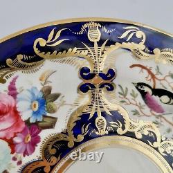 Coalport plate, flowers and birds pattern 759, 1815-1820